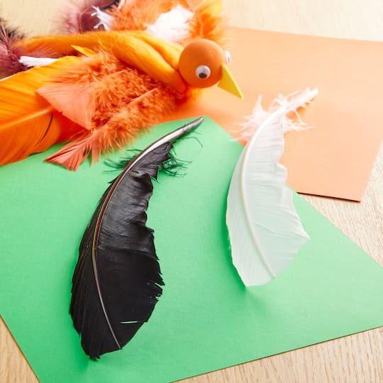 Black & White Quill Feather Mix by Creatology™